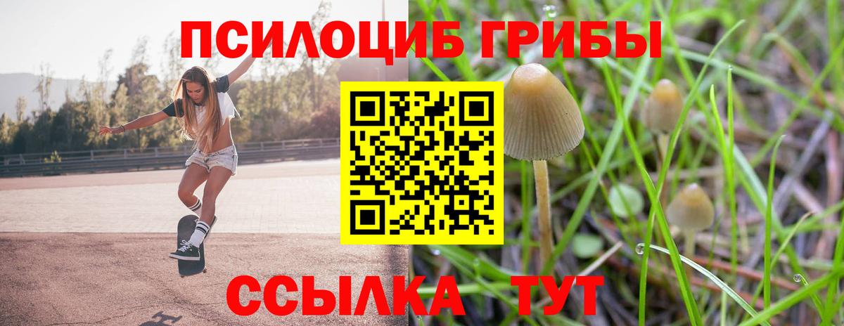 Галлюциногенные грибы Psilocybe Белебей